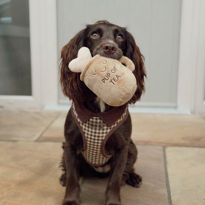 Pup of Tea Dog Toy