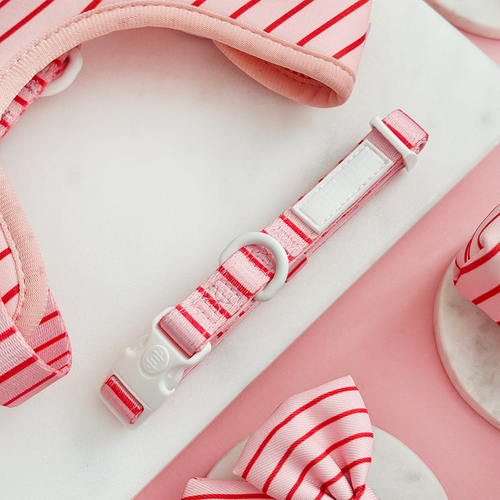 Candy Stripe COLLAR