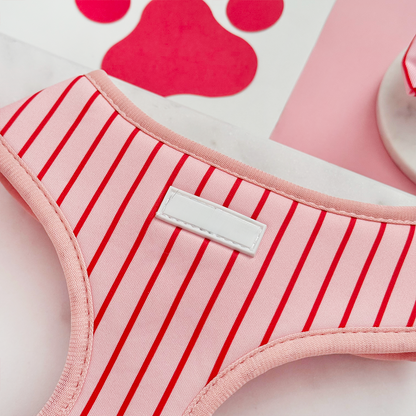 Candy Stripe Adjustable Neck HARNESS