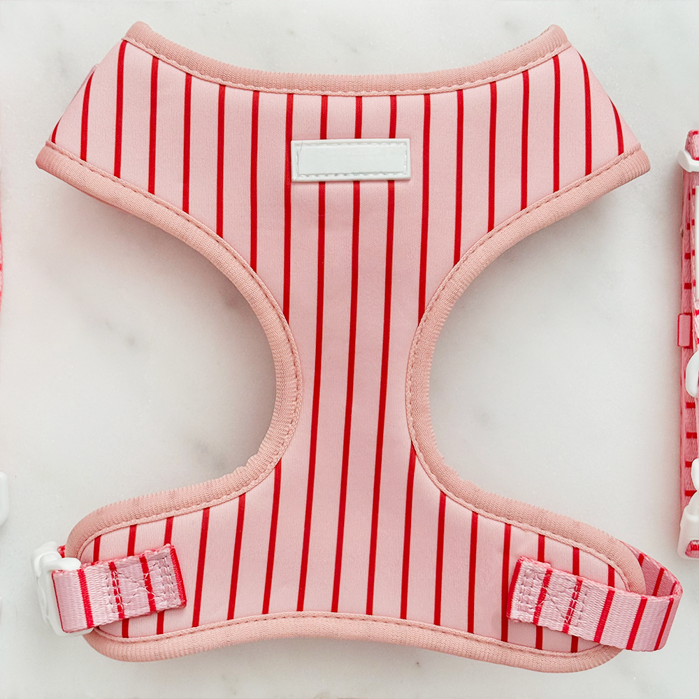 Candy Stripe Adjustable Neck HARNESS